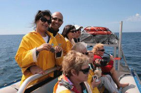Byron Bay Dolphin Wildlife Tours - Broome Tourism 2
