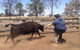 OutBackPackers - thumb 3