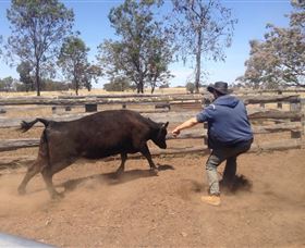 OutBackPackers - Broome Tourism 3