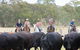 OutBackPackers - thumb 2
