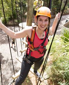 Wild Ropes At Taronga Zoo - Broome Tourism 3