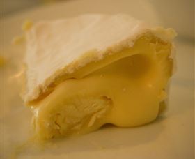 The Cheesemaking Workshop Sydney - Broome Tourism 4