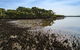 Towra Point Nature Reserve - thumb 0