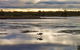 Towra Point Nature Reserve - thumb 2