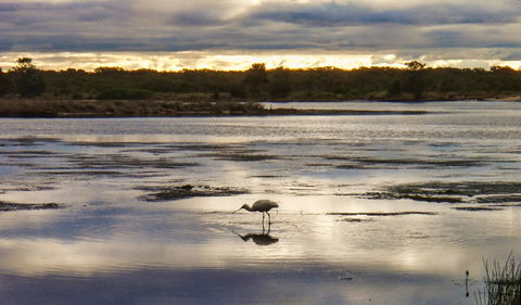 Towra Point Nature Reserve - Broome Tourism 2