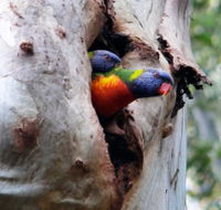 Cumberland State Forest - Broome Tourism