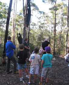 Boronia Tours - Broome Tourism 1