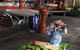 Dangar Island Cafe - thumb 3
