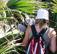 Palm Jungle loop track - Broome Tourism