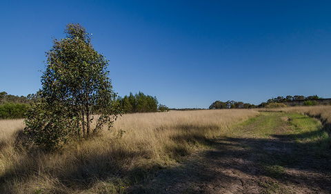 Scheyville Horse Riding Trails - Broome Tourism 0