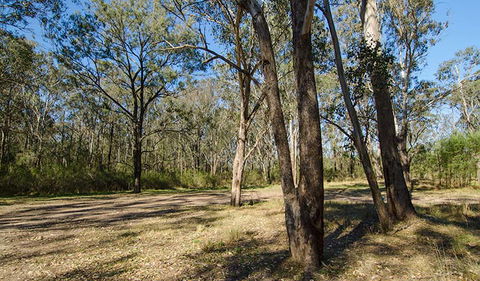 Scheyville Horse Riding Trails - Broome Tourism 1