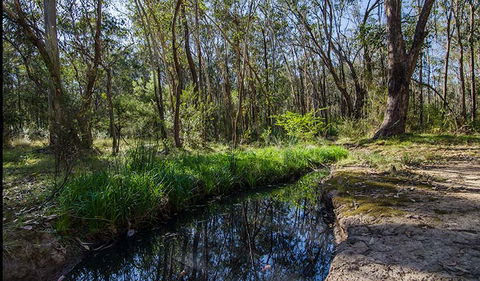Scheyville Horse Riding Trails - Broome Tourism 2