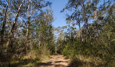 Scheyville Horse Riding Trails - Broome Tourism 3
