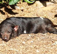 Symbio Wildlife Park - Broome Tourism