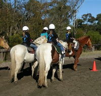 Darkes Forest Riding Ranch - Broome Tourism