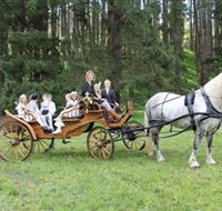 Classic Carriage Drives - Broome Tourism
