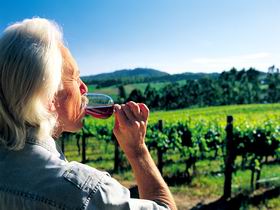 Ashton Hills Vineyard - Broome Tourism 0
