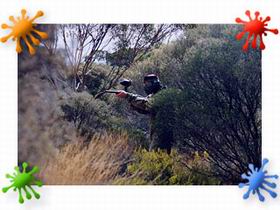 Paintball Skirmish SA - Broome Tourism 2