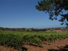 Grancari - Broome Tourism 0
