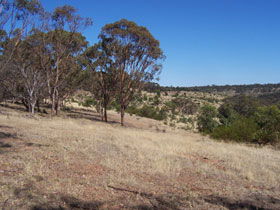 Onkaparinga River National Park - Broome Tourism 0