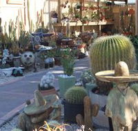Cactus Creations - Broome Tourism