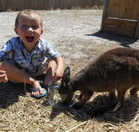 Animal Farm Goolwa - Broome Tourism