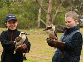 Raptor Domain - Broome Tourism 2