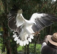 Raptor Domain - Broome Tourism
