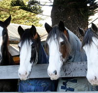 Victor Harbor Horse Drawn Tramway - Broome Tourism