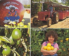 Orange World - Broome Tourism 1