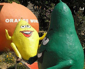 Orange World - Broome Tourism 0