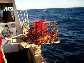 Lacepede Seafood - Broome Tourism 1