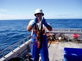 Lacepede Seafood - Broome Tourism 2