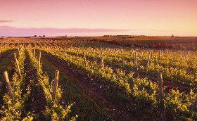 Ralph Fowler Wines - Broome Tourism 0