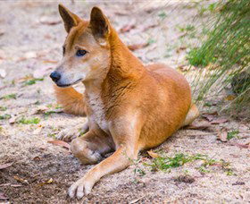 Territory Wildlife Park - Broome Tourism 2
