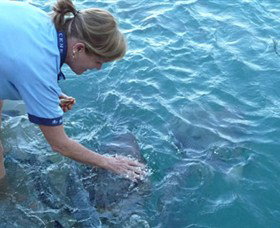 Aquascene - Broome Tourism 2