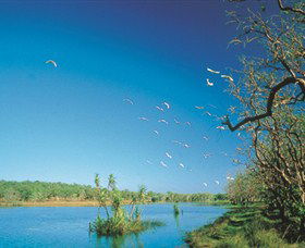 Nature's Way - Broome Tourism 5