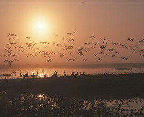 Nature's Way - Broome Tourism 6
