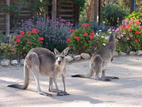 The Pioneer Settlement - Broome Tourism 5