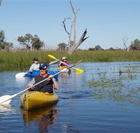 Marsh Meanders - Broome Tourism