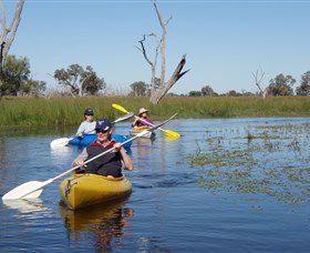 Marsh Meanders - Broome Tourism 0