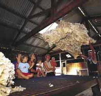 Shear Outback the Australian Shearers Hall of Fame - Broome Tourism