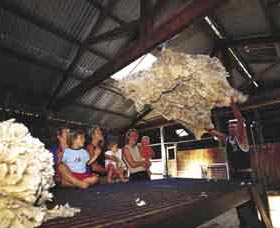 Shear Outback The Australian Shearers Hall Of Fame - Broome Tourism 0