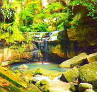 Carnarvon Gorge Carnarvon National Park - Broome Tourism