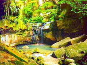Carnarvon Gorge, Carnarvon National Park - Broome Tourism 0