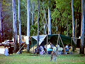 Carnarvon Gorge, Carnarvon National Park - Broome Tourism 2