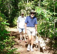 Wongabel State Forest - Broome Tourism