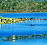 Hasties Swamp National Park - Broome Tourism