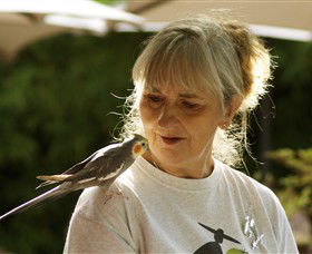 Boort VIC Broome Tourism