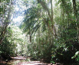 Mount Lewis National Park - Broome Tourism 0